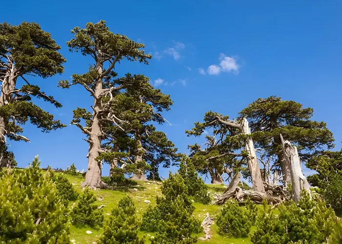 Bedroom Golfo - Le Lincelle, Lamezia - 2 Extra Large Single Beds Apartamento SantʼEufemia Lamezia